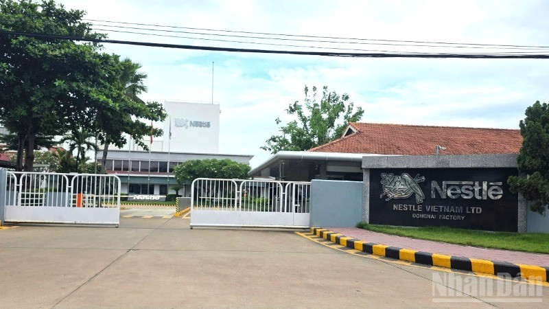Vì sao hàng giả, thuốc giả, thực phẩm giả vẫn tồn tại dai dẳng suốt nhiều năm qua?