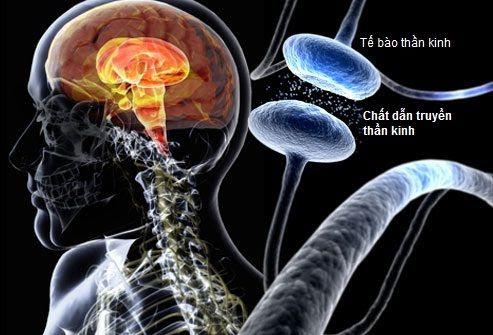 Parkinson ở người cao tuổi: Không chỉ là những cơn run tay chân mà còn là cuộc chiến âm thầm với biến chứng, suy kiệt và hành trình điều trị lâu dài