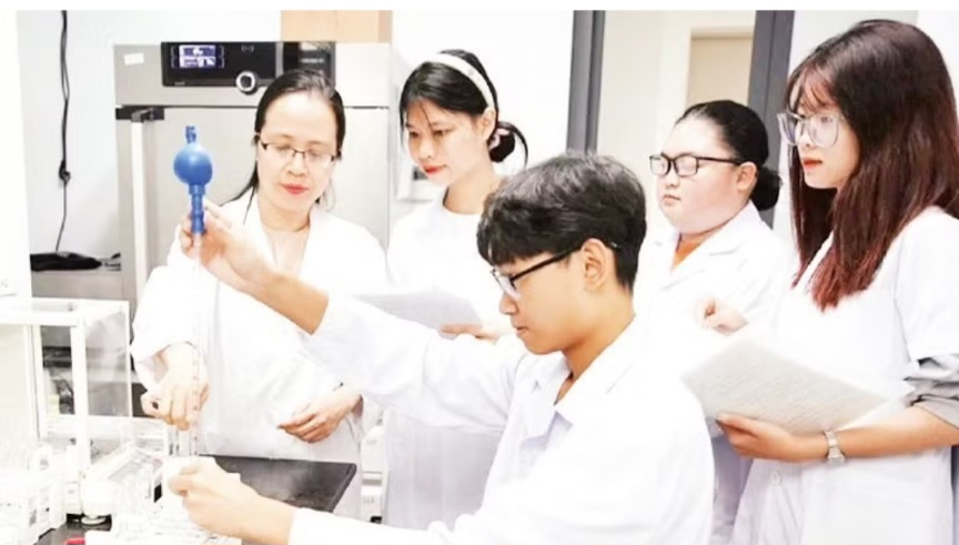 Năng lực số trong phát triển con người toàn diện