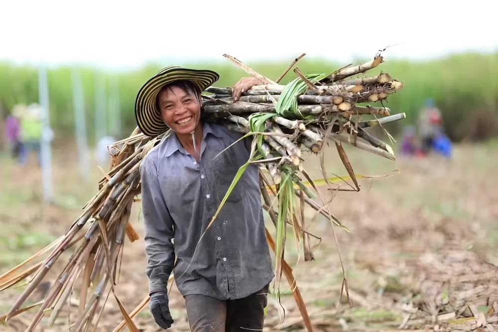 NHÀ Ở CHO THUÊ VÀ XĂNG SINH HỌC E10: HAI HƯỚNG ĐI MỞ RA CƠ HỘI CHO NGƯỜI LAO ĐỘNG VÀ NÔNG DÂN