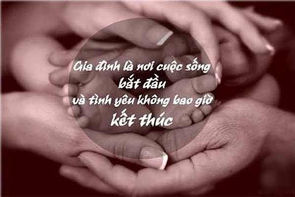 Dìu nhau qua những mùa yêu thương