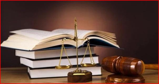 Từ ngày 1/7/2026, viên chức được trực tiếp điều hành doanh nghiệp: Bước chuyển trong tư duy quản lý hay thách thức mới về kiểm soát xung đột lợi ích?